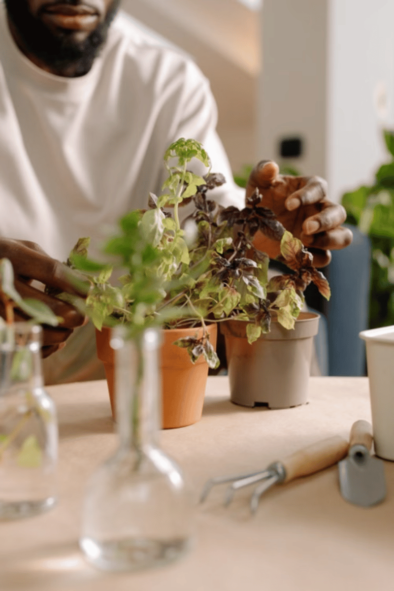 Home Garden & Furniture